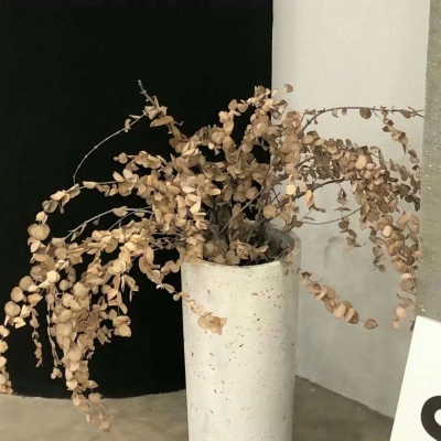 安州FurryQQ群介绍